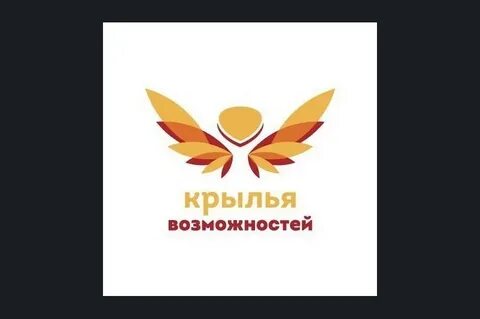 Проект крылья