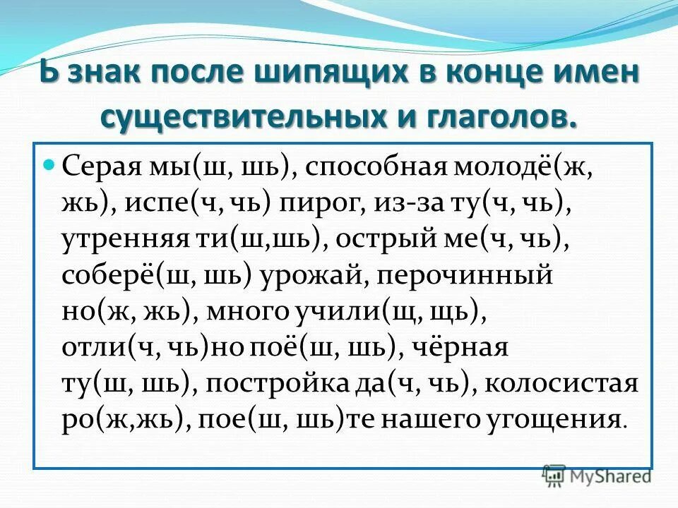 Карточка окончания прилагательных 3 класс по русскому. Существительные с ь знаком на конце после шипящих. Правописание мягкого знака после шипящих в глаголах 5 класс. Мягкий знак после шипящих на конце существительных и глаголов. Ь после шипящих в существительных упражнения.