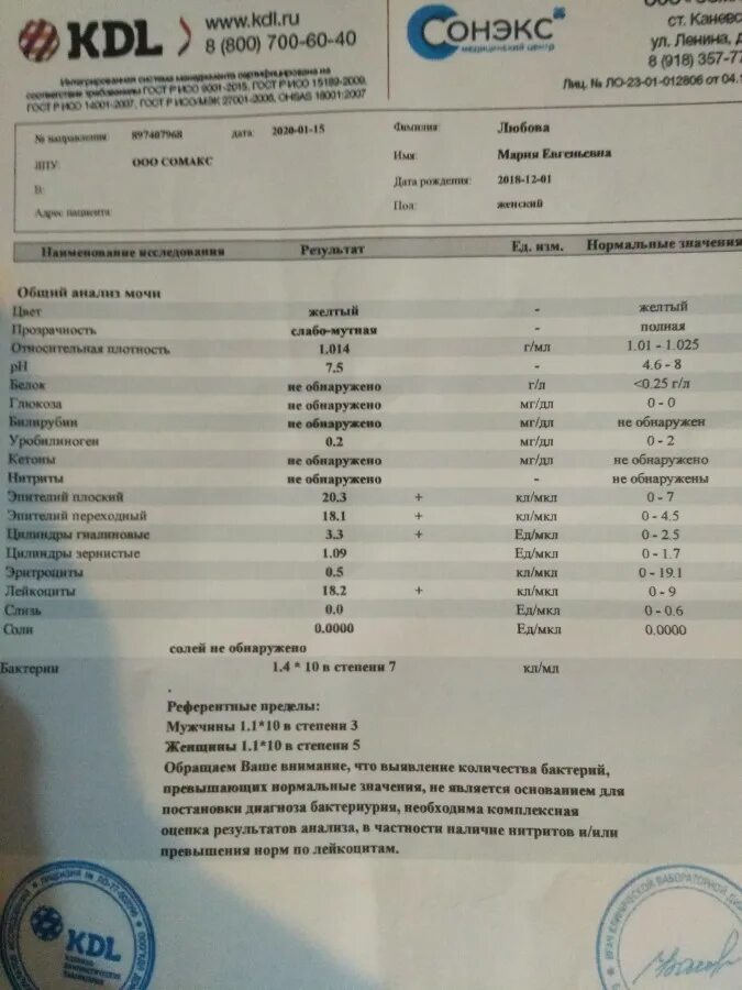 Плохой анализ мочи. Плохие анализы мочи у женщин. Плохие анализы у беременных. Плохой анализ мочи при беременности.