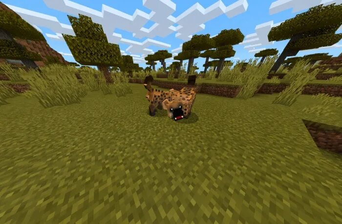 Мод на саванну. Рысь майнкрафт. Жираф в майнкрафте. Биом в майнкрафте саванна. Мод на 100 животных.