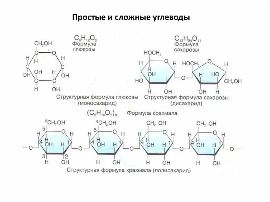 Строение молекул простых и сложных углеводов. Сложные углеводы формулы. Простые и сложные углеводы структура. Формула простых и сложных углеводов. Формула углевод глюкозы