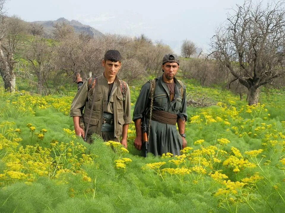 Курдские цветы. HPG 200. Курдские брюки. HPG 6500.