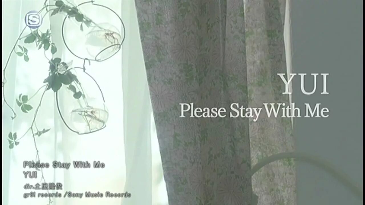 Песня please stay i. Pleasure thieves. Пронзительные фотографии в стиле stay with me. Please stay. Please stay i want you i need you oh god текст.