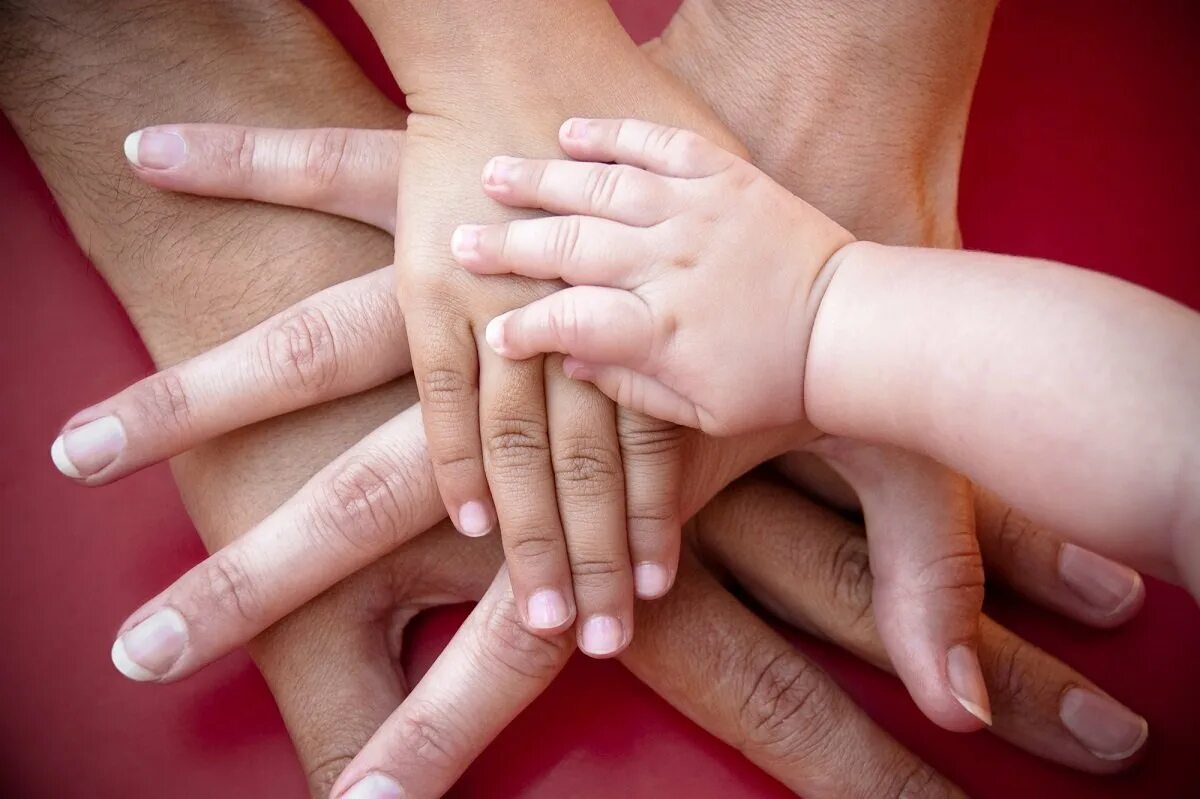 3 ладони. Семья руки. Руки родителей и детей. Ладони семьи. Руки детские и взрослые.