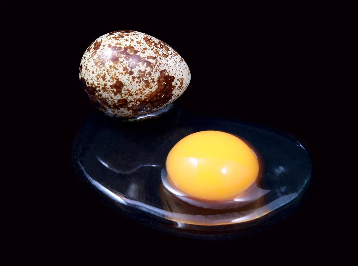 Яйцо. Яйцо перепелиное. Желток перепелиного яйца. Перепелиные яйца 20 штук.