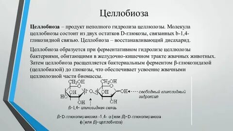 Название продуктов гидролиза целлюлозы