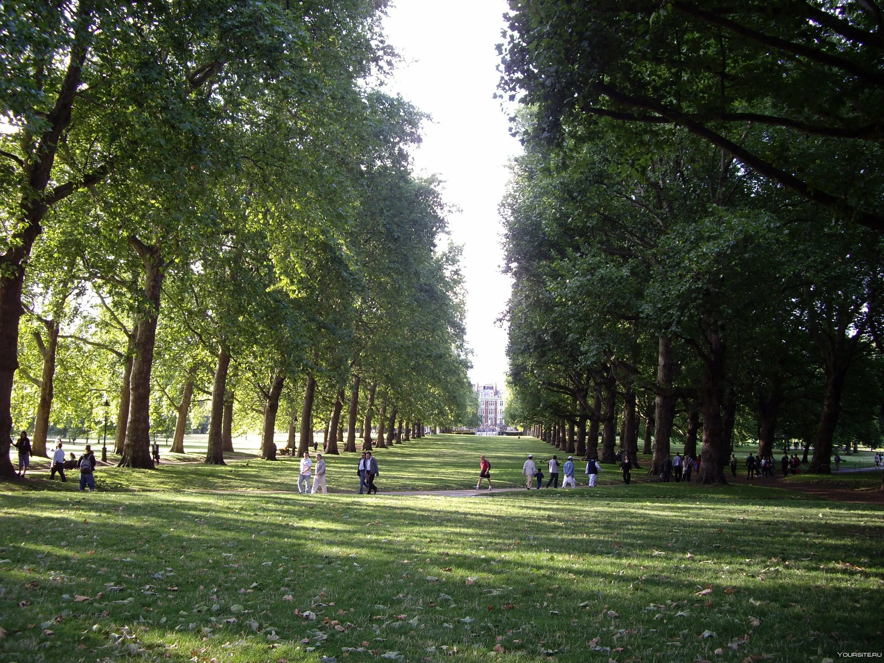 Green park грин парк. Парк в Лондоне Грин парк. Грин парк в Лондоне фото. Гринвичский парк в Лондоне. Грин-парк (Green Park) в Лондоне эмблема.