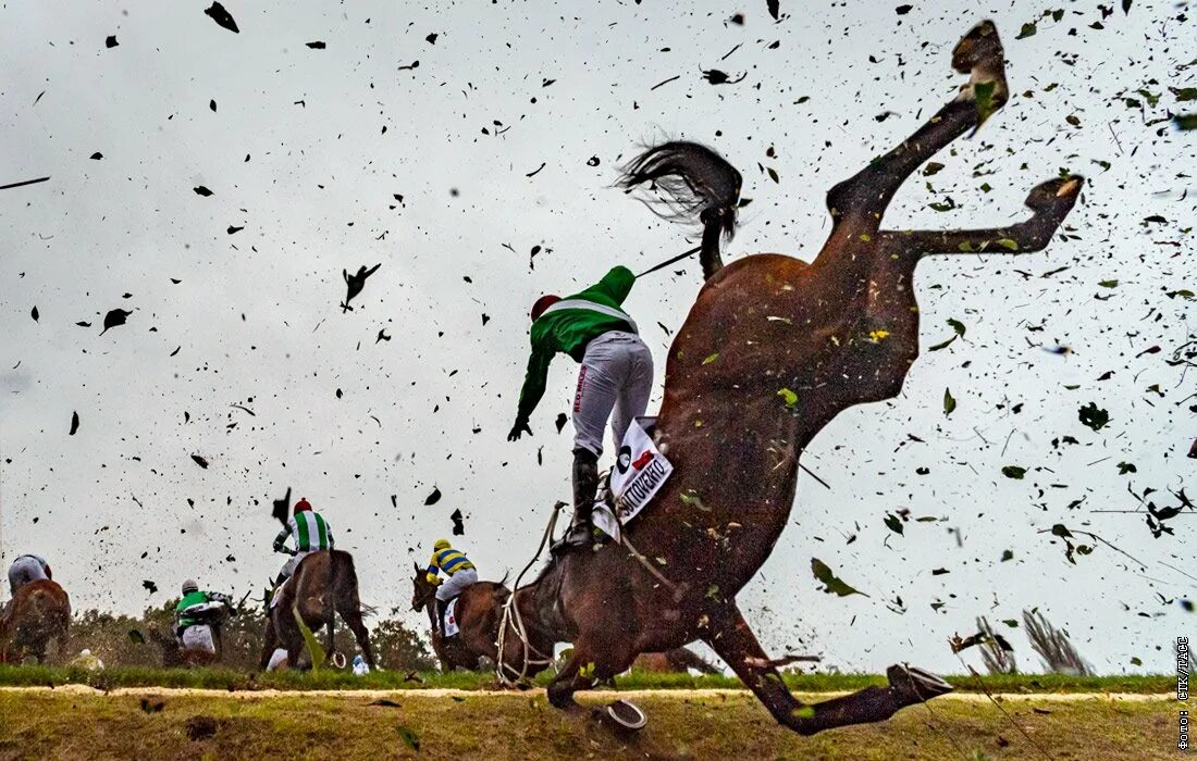 The Grand National - Mirror Online
