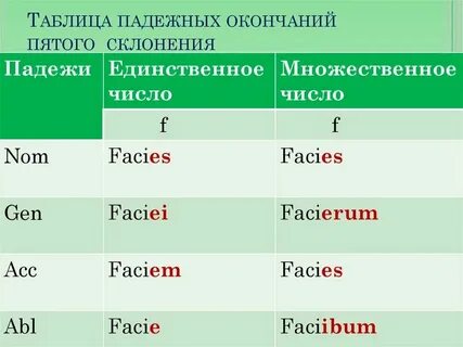Винительный падеж в латинском языке