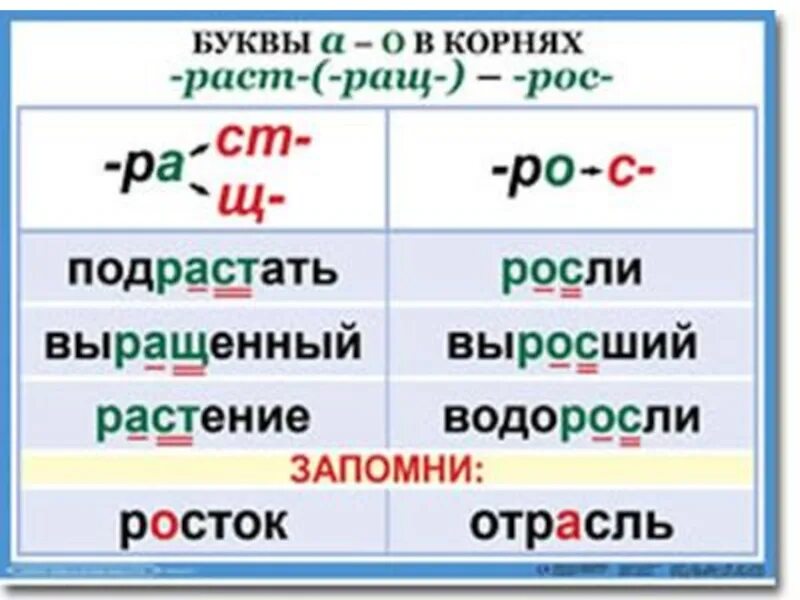 Правописание раст ращ рост. Корни раст ращ рос правило. Буквы а о в корне раст ращ рос правило. Выростим или вырастем