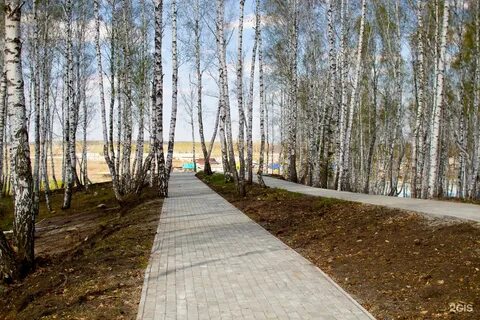 Погода рощино сосновский