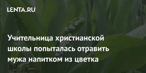Травлю мужа