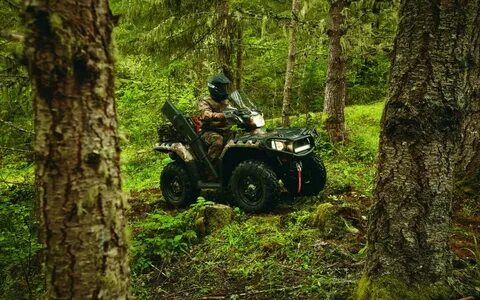High tech hunt