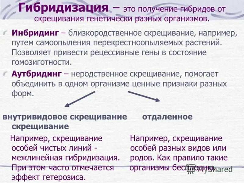 Гибридизация метод селекции растений и животных. Типы гибридизации в селекции. Методы селекции отбор и гибридизация. Методы межвидовой гибридизации.