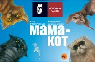 Купить маму кота. Мама кот спектакль. Сепульведа л. "мама-кот". Мама кот Сепульведа. Старый дом спектакль мама кот доклад.