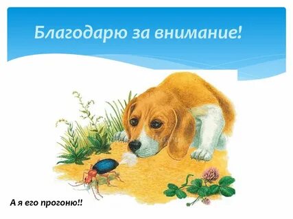 Первая охота