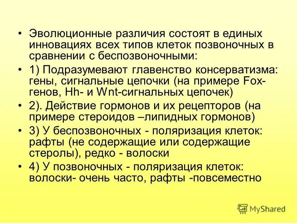 Их отличие состоит в. Их отличие состоит в. Философия и миссия организации в чем разница. Различие между предприятием и фирмой. Формальная организация это в менеджменте.