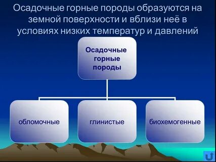 Какие горные породы образуются на земной поверхности