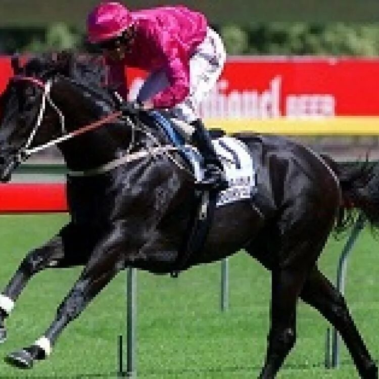 Лошади на ипподроме. Скачки 5 букв. Скачки 5 букв. Скачки финиш. Конные скачки в англии.