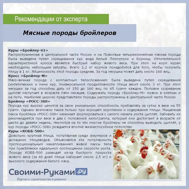 Бройлер Кобб 308. Порода бройлеров Росс 308. Бройлер Кобб 308 описание. Кобб 700 бройлер таблица. Бройлер 500 характеристики