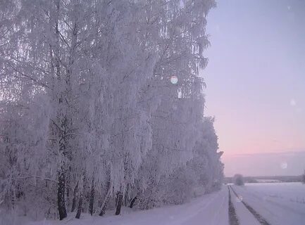 Юрга на зиму