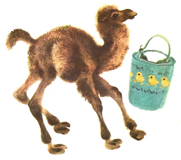 бедный верблюд. верблюд. верблюд мемы. бедный верблюд. верблюжонок смешной маленький.