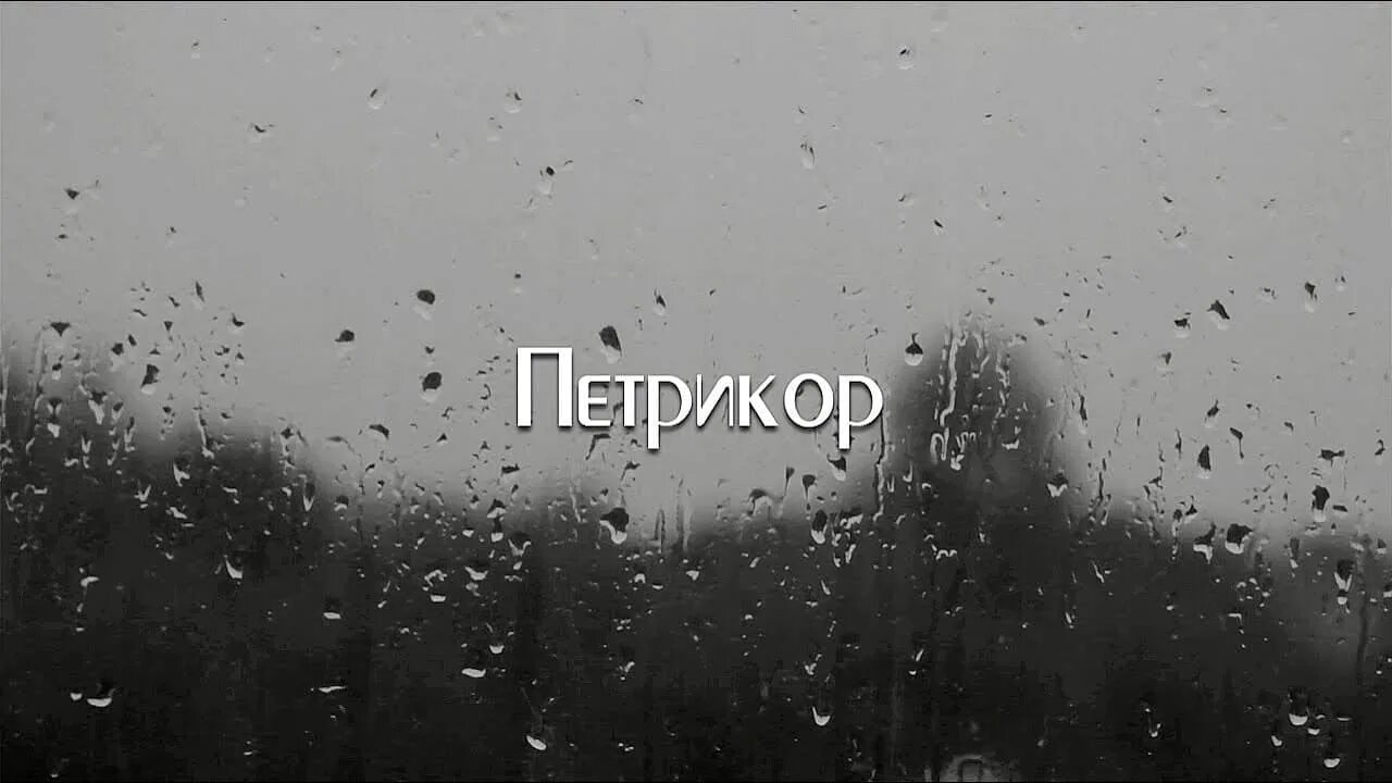 Rain обзор. Петрикор. Аромат петрикор. Петрикор запах после дождя.. Петрикор Геншин.