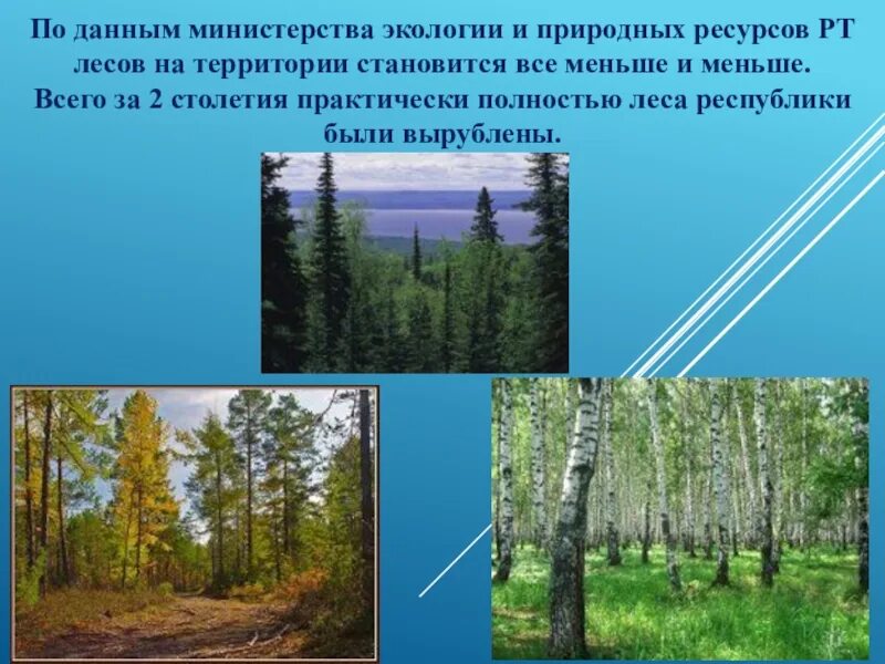 Природные богатства татарстана. Добыча полезных ископаемых в татарстане. Волжско камский природный заповедник. Природные ресурсы татарстана. Водные ресурсы татарстана.