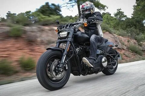Harley davidson fat bob