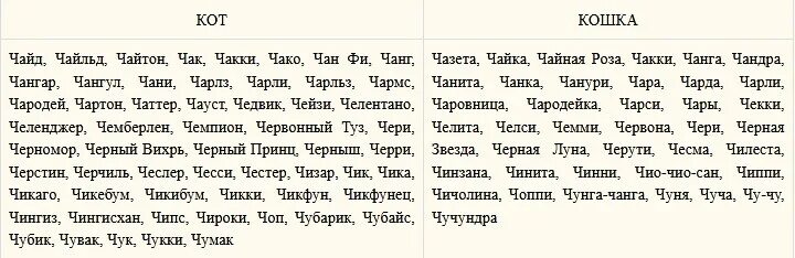 Клички для кошек девочек. Имена для девочек. Имена для кошек. Имена для кошек девочек. Имя для кошки с буквой с