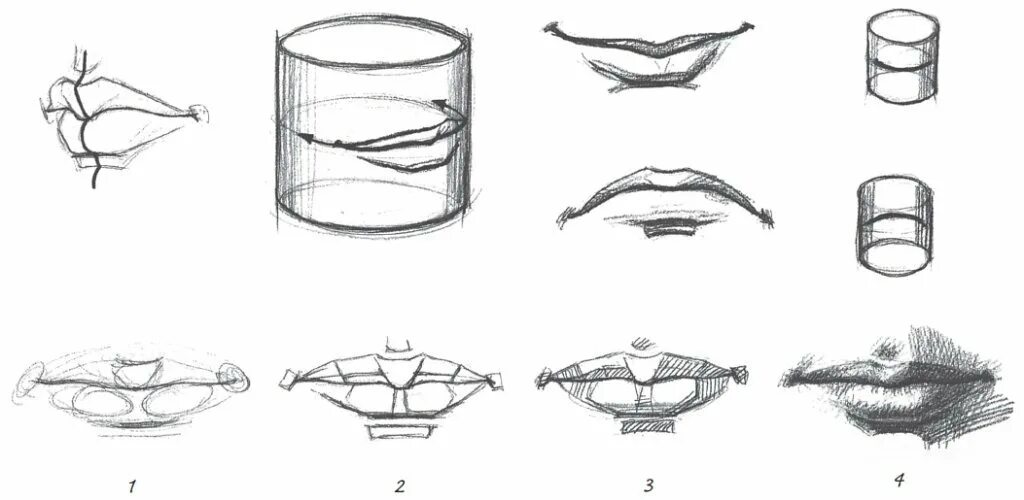 Как нарисовать губы макияж. Как нарисовать губы нужны. Строение губ пластическая анатомия. Схема губ. Схема губ.
