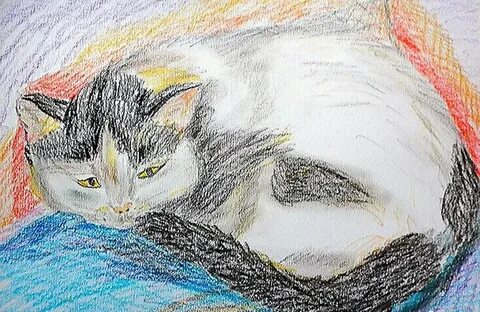 Мелки кот