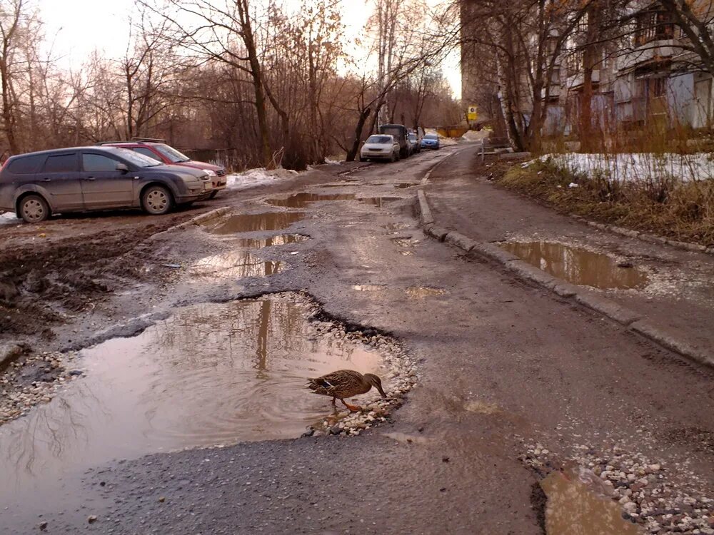 Лужа грязи. Российские дороги и лужи. Грязная лужа. Разбитая дорога в луже. На дорогах лужи скоро выйдут