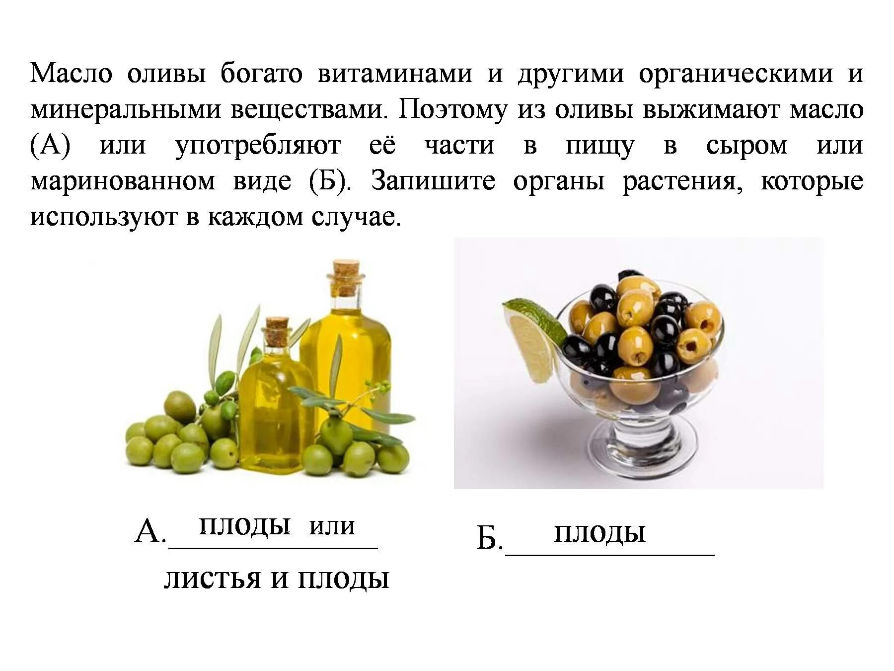 Маслины оливки витамины. Оливковое масло витамины. Оливковое масло витамины и минералы. Оливковое масло полезные вещества.