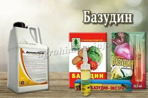 Базудин