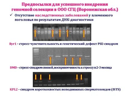 Обязательная геномная регистрация
