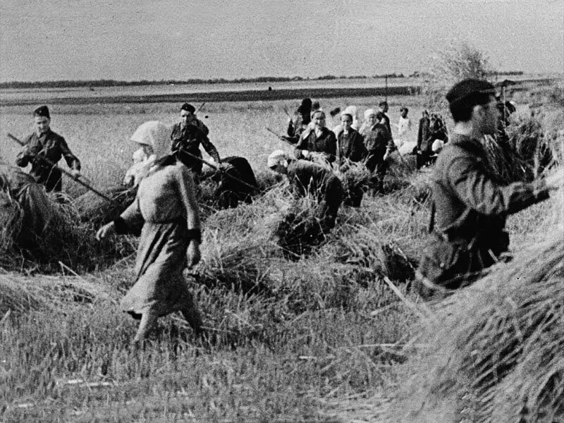 Во время великой отечественной войны трудилась