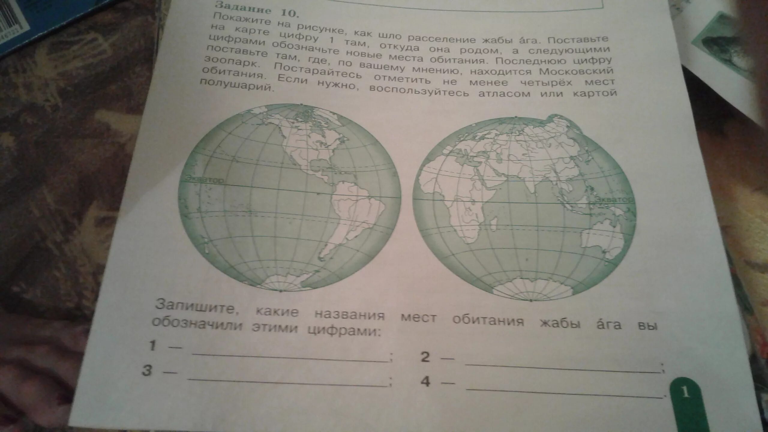 Комплексная работа жаба ага ответы все варианты. Расселение Жабы ага на карте. Показать на карте расселение Жабы ага. Как шло расселение Жабы ага. Жаба ага место обитания на карте.