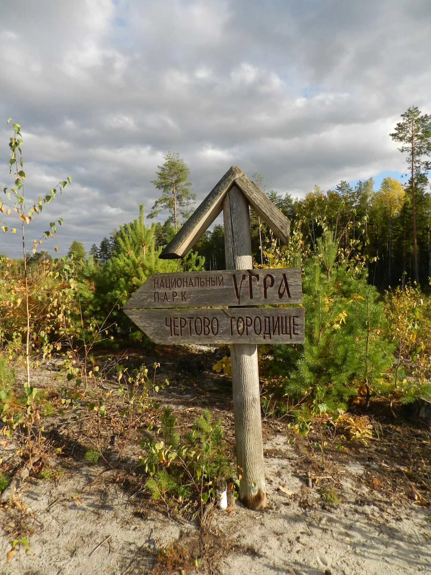 Чертово городище калужская область. Чертово городище калужская область. Чертово городище калужская. Чёртово городище (козельск). Чёртово городище (козельск).