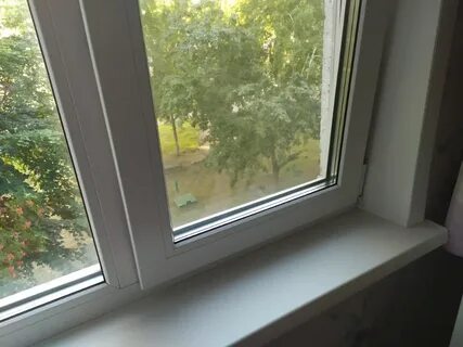 Из окна желтели