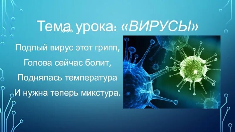 Признаки вирусов биология 5 класс. Урок вирусы. Вирусы 9 класс. Вирусы биология 9 класс. Вирусы урок в биологии 5 класс.