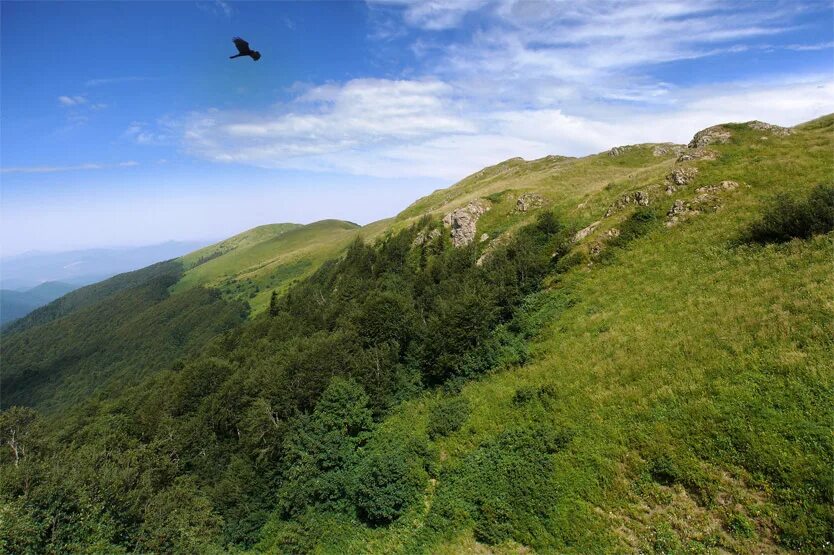 малая фатра. аа в африке горы вот такой вышины. горы такой вышины слушать. в африке горы такой вышины. грин маунтин гора.