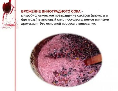 Брожение виноградного сока или варенья