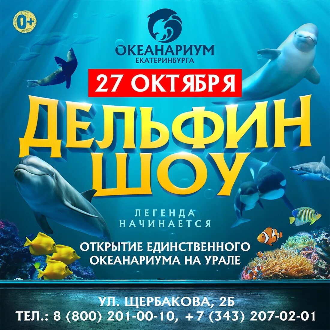 Щербакова 2 б океанариум. Океанариум в Екатеринбурге на Щербакова. Океанариум баннер.