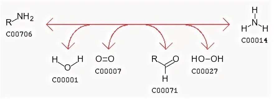 Альдегид nh3. Амин + h3po4. S R реакция. Альдегид и Амин. Хлороэтанол и nh3.