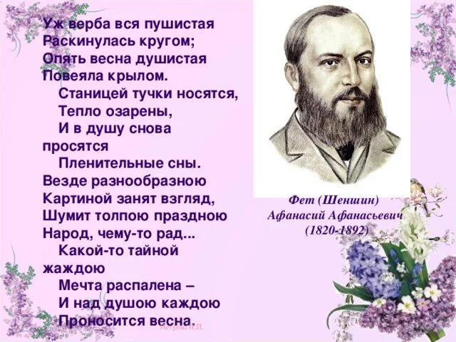 Стихотворение фета поэты. Стихотворение фета о вербе. фет уж верба вся пушистая стих.