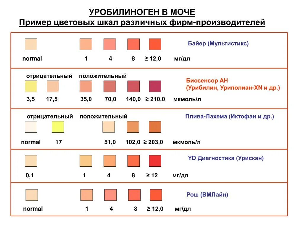 Уробилиноген норма у мужчин. Уробилиноген норма в моче в мкмоль/л. Норма уробилиногена в моче показатели. Повышение уробилиногена в моче причины. Уробилин в моче норма показатели.