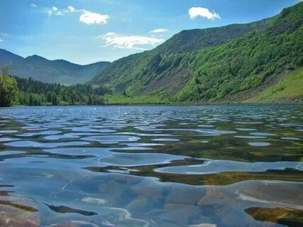 Реки озера и другие водные объекты