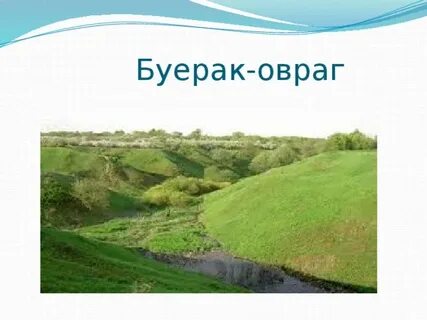 Слово овраг