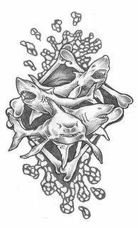 Мозги акулы